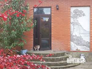 Дом 400м², 2-этажный, на длительный срок,