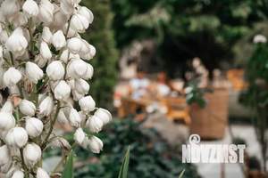 Дом 800м², 2-этажный, посуточно,