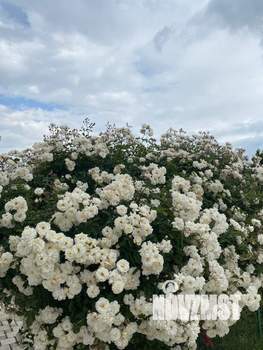 Дом 395м², 2-этажный, на длительный срок,