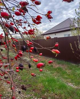 Дом 97м², 1-этажный, участок 8 сот.