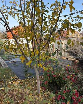 Дом 70м², 2-этажный, участок 6 сот.