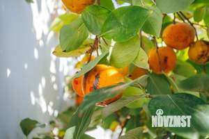 Дом 326м², 3-этажный, участок 6 сот.