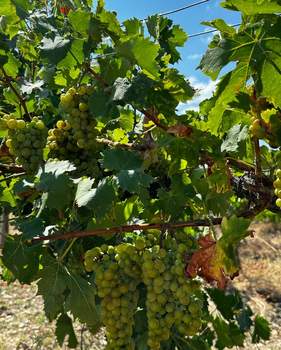 Дом 145м², 2-этажный, участок 6 сот.