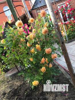 Дом 65м², 1-этажный, участок 4 сот.