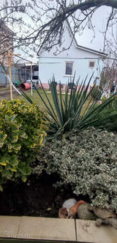 Дом 40м², 1-этажный, участок 4 сот.