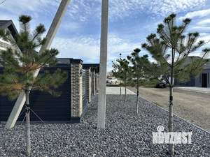 Дом 113м², 1-этажный, участок 4 сот.