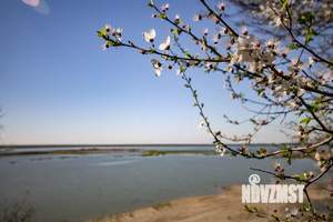 Коттедж 106м², 1-этажный, участок 6 сот.