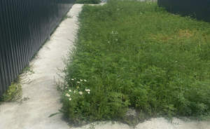 Дом 105м², 1-этажный, участок 5 сот.