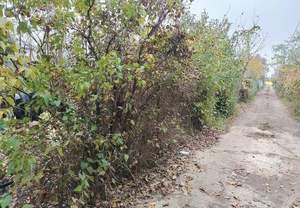 Дом 37м², 2-этажный, участок 5 сот.