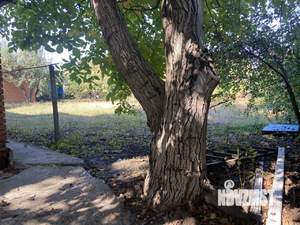 Дом 100м², 2-этажный, участок 6 сот.