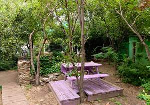 Дом 156м², 1-этажный, участок 6 сот.