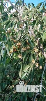 Дом 66м², 1-этажный, участок 23 сот.