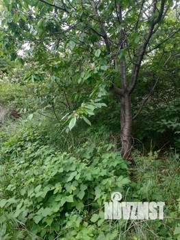 Дом 54м², 1-этажный, участок 6 сот.