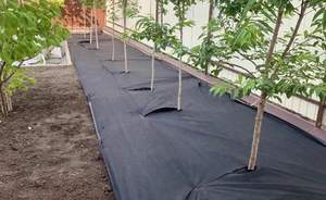 Дом 160м², 2-этажный, участок 6 сот.