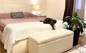 Дом 160м², 2-этажный, участок 6 сот.