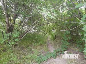 Дом 54м², 1-этажный, участок 6 сот.