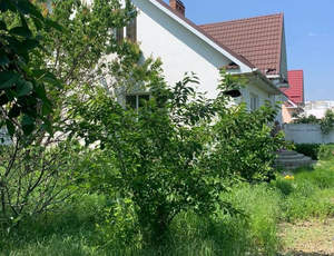 Дом 225м², 2-этажный, участок 4 сот.