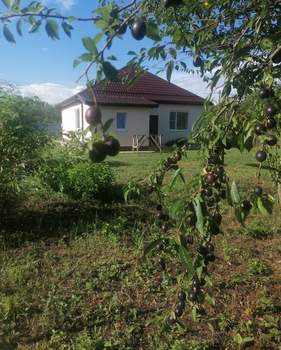 Дом 97м², 1-этажный, участок 8 сот.