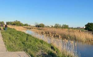 Дом 130м², 2-этажный, участок 3 сот.