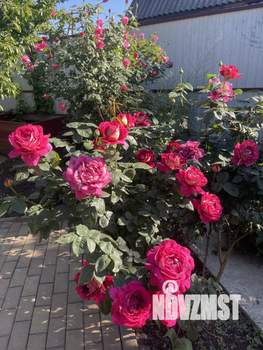 Дом 215м², 2-этажный, участок 6 сот.