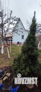 Дом 40м², 1-этажный, участок 4 сот.