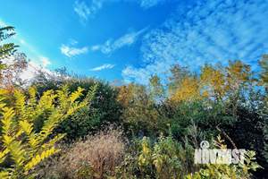 Дом 76м², 2-этажный, участок 5 сот.