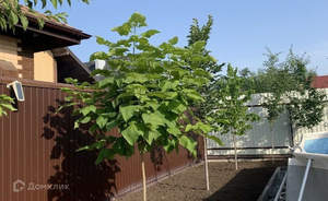 Дом 160м², 2-этажный, участок 6 сот.