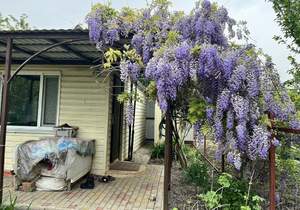 Дом 20м², 1-этажный, участок 6 сот.