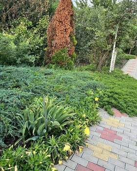 Дом 20м², 1-этажный, участок 6 сот.