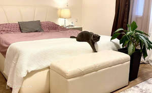 Дом 160м², 2-этажный, участок 6 сот.