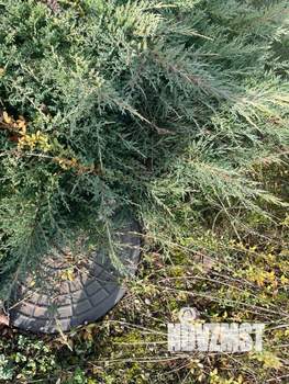 Дом 30м², 2-этажный, участок 8 сот.