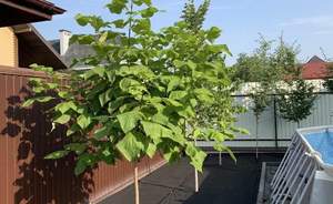 Дом 160м², 2-этажный, участок 6 сот.