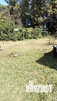 Дом 52м², 1-этажный, участок 6 сот.