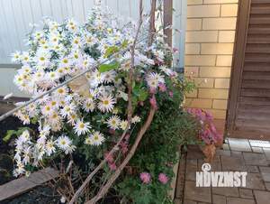 Дом 140м², 2-этажный, участок 3 сот.