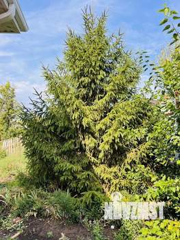 Дом 115м², 1-этажный, участок 5 сот.