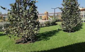 Дом 181м², 2-этажный, участок 6 сот.