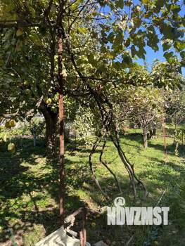 Дом 36м², 1-этажный, участок 7 сот.