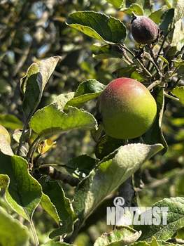 Дом 21м², 2-этажный, участок 4 сот.