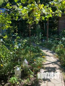 Дом 36м², 2-этажный, участок 8 сот.