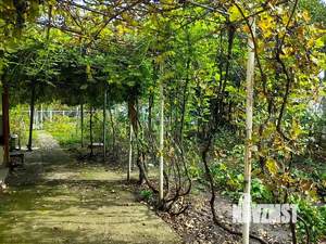 Дом 67м², 2-этажный, участок 8 сот.