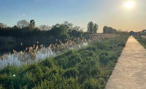 Дом 130м², 2-этажный, участок 3 сот.