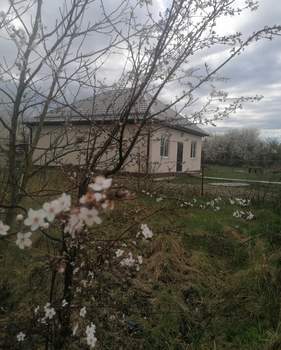 Дом 97м², 1-этажный, участок 8 сот.