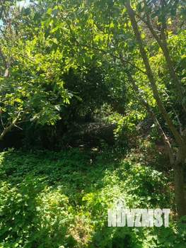 Дом 38м², 2-этажный, участок 5 сот.