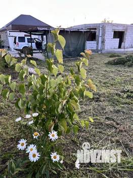 Дом 74м², 1-этажный, участок 6 сот.