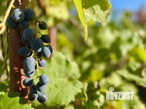 Дача 58м², 1-этажный, участок 6 сот.