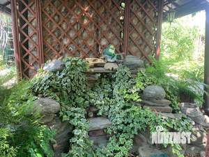 Дача 51м², 2-этажный, участок 4 сот.