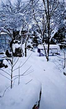 Дом 156м², 1-этажный, участок 6 сот.