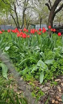 Дом 47м², 2-этажный, участок 6 сот.