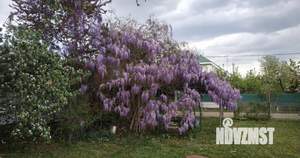 Дом 20м², 1-этажный, участок 4 сот.