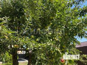 Дом 135м², 2-этажный, участок 10 сот.